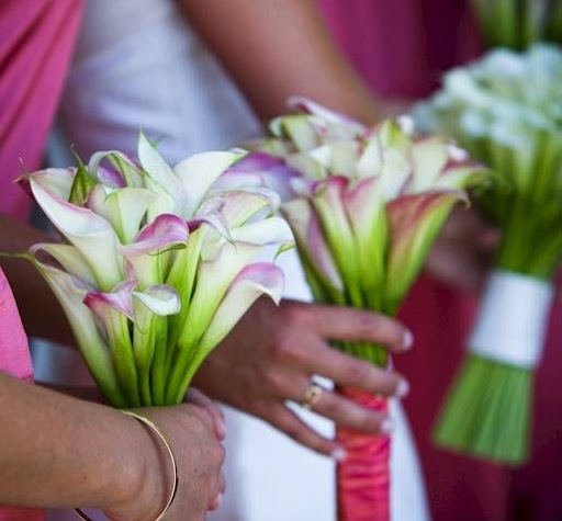 Wedding Planner «Mandy Scott Events», reviews and photos, 1436 2nd St #225, Napa, CA 94559, USA