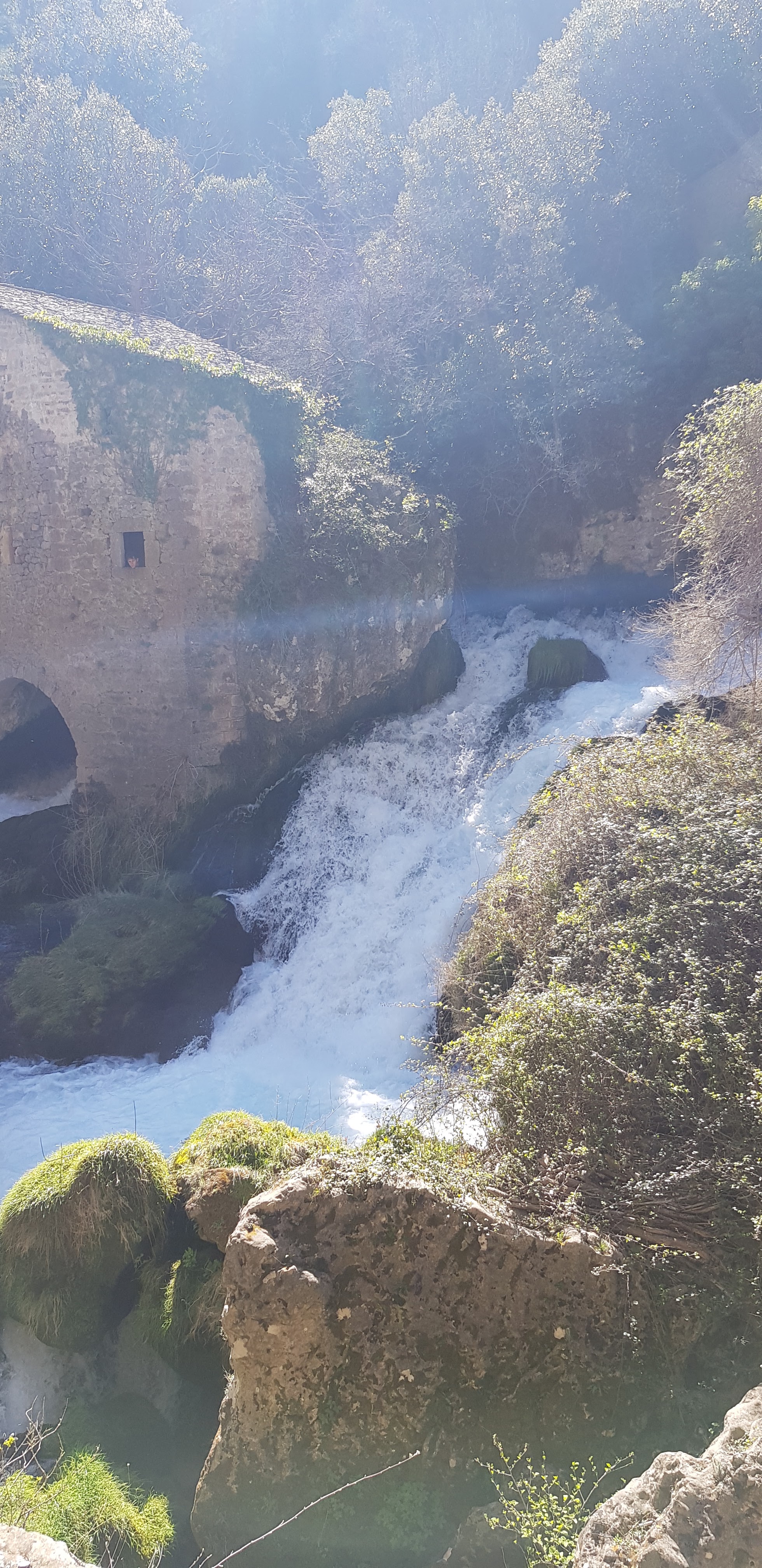 Photo n° 4 de l'avis de waiki972. fait le 29/03/2021 à 14:23