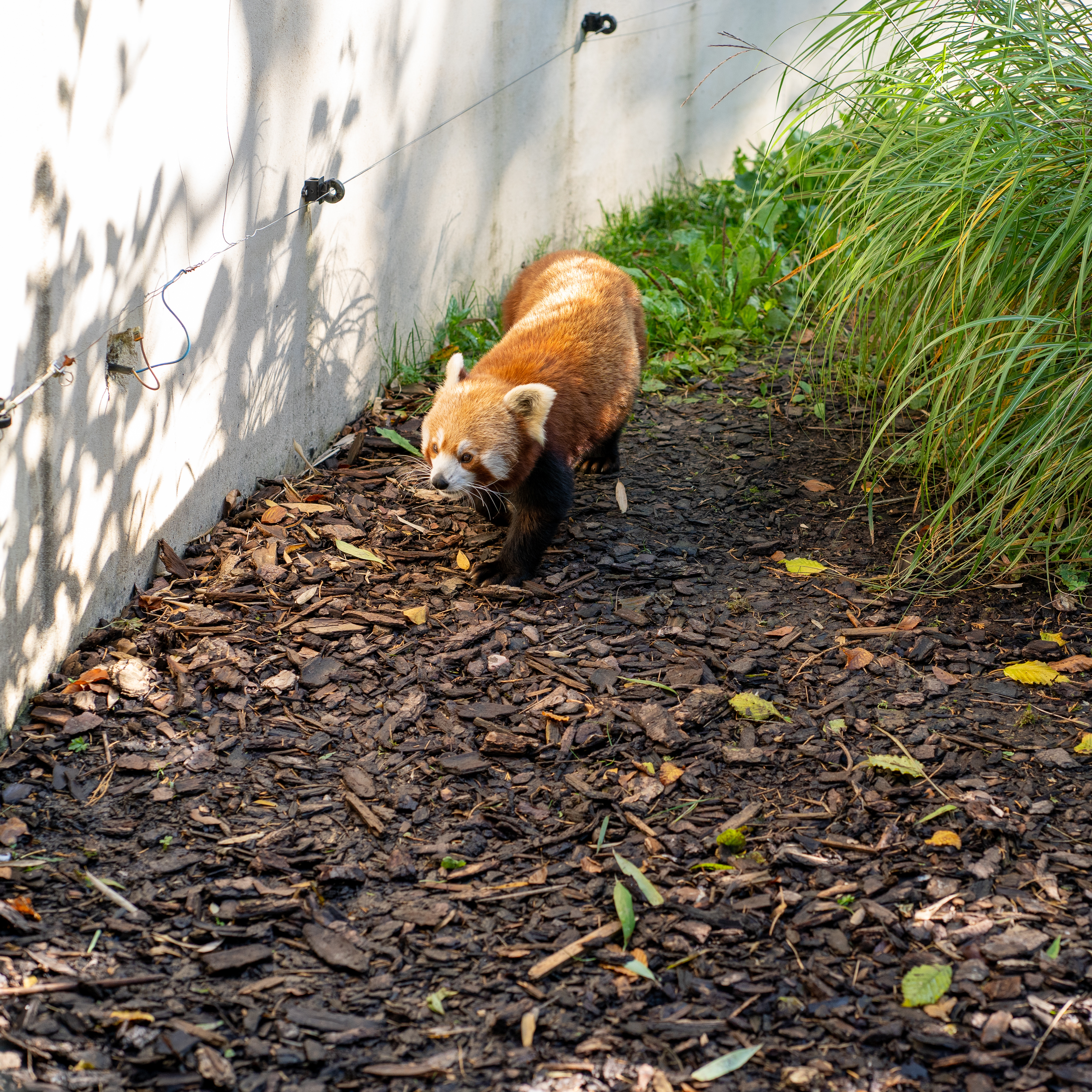 Photo n° 1 de l'avis de linstantvoyages. fait le 12/10/2021 à 20:59