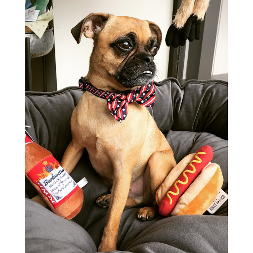 Pet Supply Store «Dog Dish», reviews and photos, 1778 Utica Square, Tulsa, OK 74114, USA