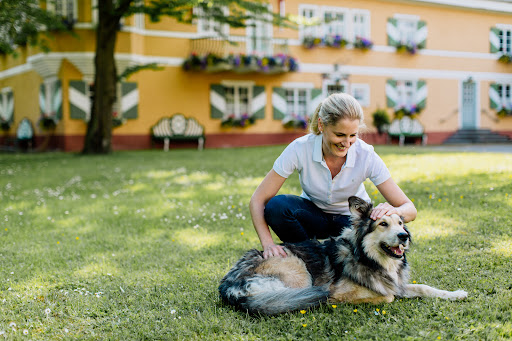 VetChiro Digel - Tierärztliche Praxis für Chiropraktik und Physiotherapie unter Ostfildern, 