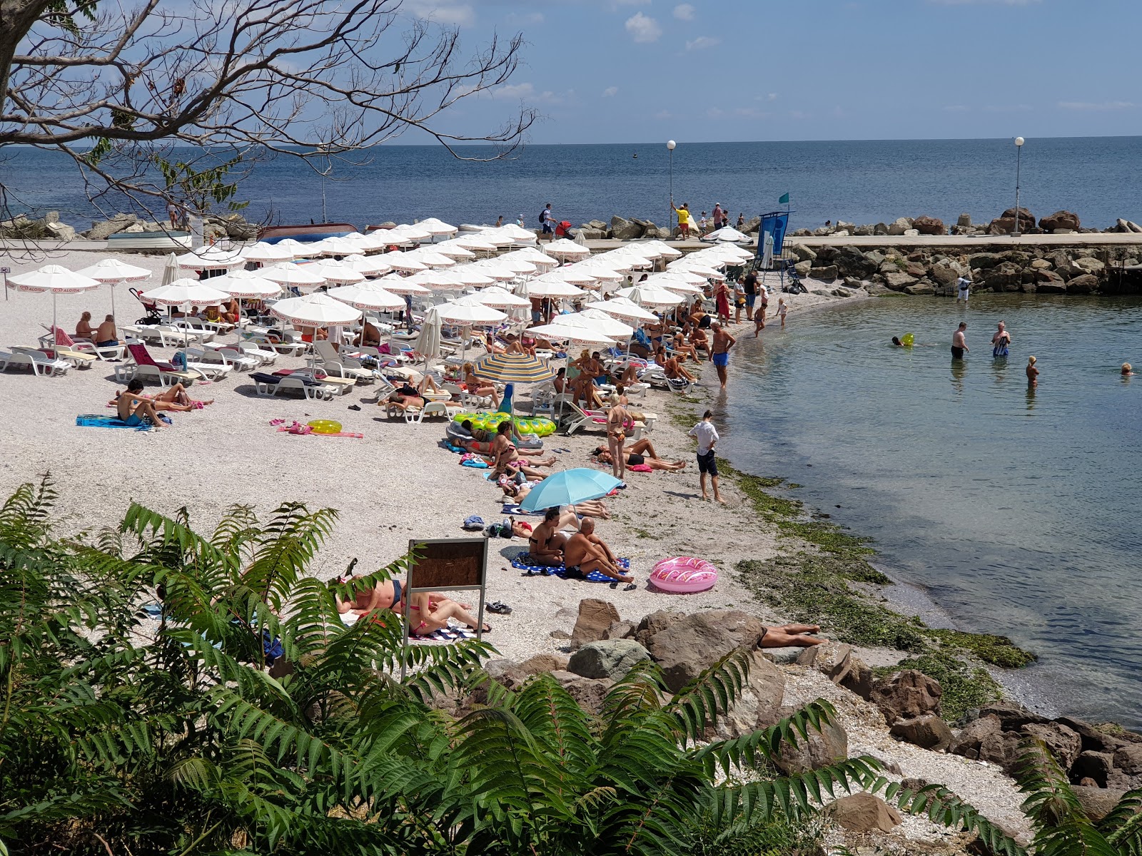 Zdjęcie Buna beach z poziomem czystości wysoki