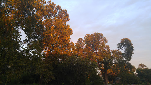 Cafe «Halcyon Southtown», reviews and photos, 1414 S Alamo St, San Antonio, TX 78210, USA