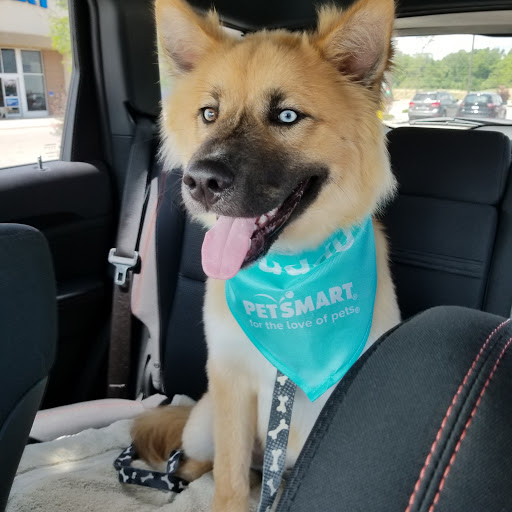 Pet Supply Store «PetSmart», reviews and photos, 640 W 300 N, Warsaw, IN 46582, USA