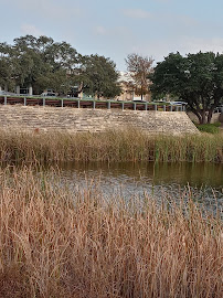 Quality Basin Management and Landscaping - Photo 5 - Car repair in , San Antonio