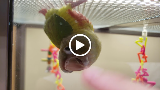 Pet Supply Store «Petco Animal Supplies», reviews and photos, 1670 Airport Blvd #700, Pensacola, FL 32504, USA