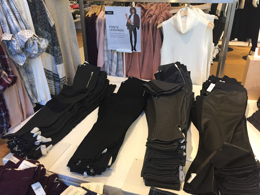 Clothing Store «Gap Outlet», reviews and photos, 12801 W Sunrise Blvd, Sunrise, FL 33323, USA