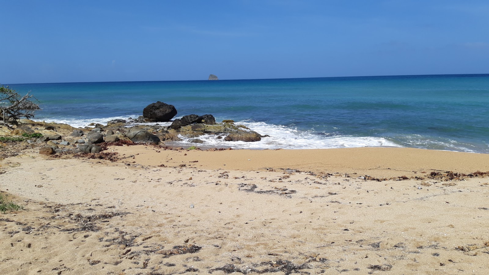 Photo of Anse du Petit Fort Beach with partly clean level of cleanliness