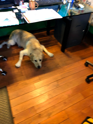 Coffee Store «Galveston Coffee Roasters», reviews and photos, 532 23rd St, Galveston, TX 77550, USA