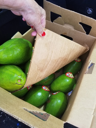 Community Center «United Against Poverty», reviews and photos, 150 W Michigan St, Orlando, FL 32806, USA