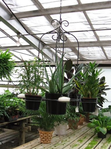 Florist «Dick Adgate Florist», reviews and photos, 2300 Elm Rd NE, Warren, OH 44483, USA