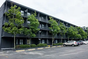 The Pelican Apartments image