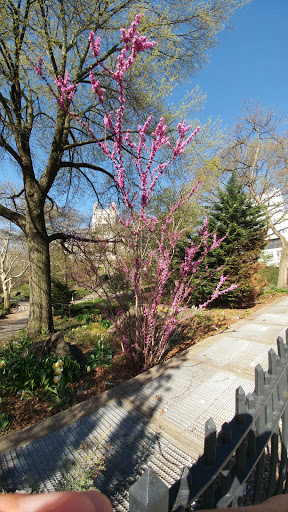 National Park «Hamilton Grange National Memorial», reviews and photos, 414 W 141st St, New York, NY 10031, USA