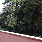 Photo n°5 de l'avis de Mike.u fait le 06/08/2017 à 04:47 sur le  Hotel Venezia Park à Lazise