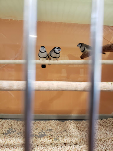 Pet Store «Lebanon Pet & Aquarium Center», reviews and photos, 196 S Main St, West Lebanon, NH 03784, USA