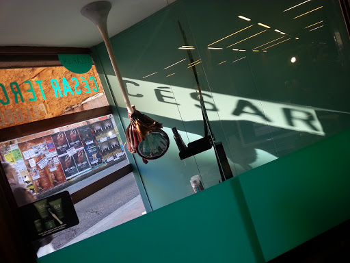 Información y opiniones sobre Peluquería César Terceño de Palencia