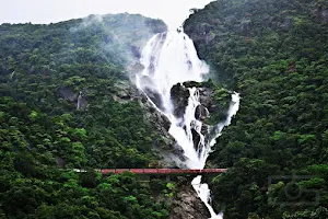 Dudhsagar Falls image