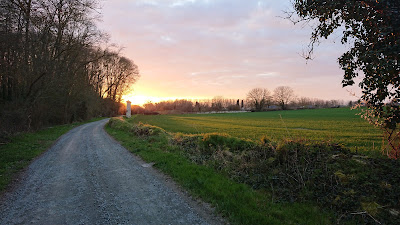 Domaine du Collier à Bellevigne-les-Châteaux