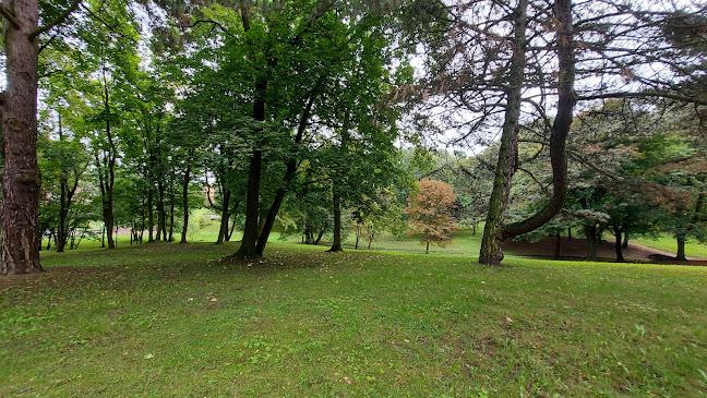 Park Modrzewie - Elbląg