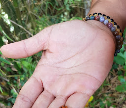 Bali Bird Walks photo