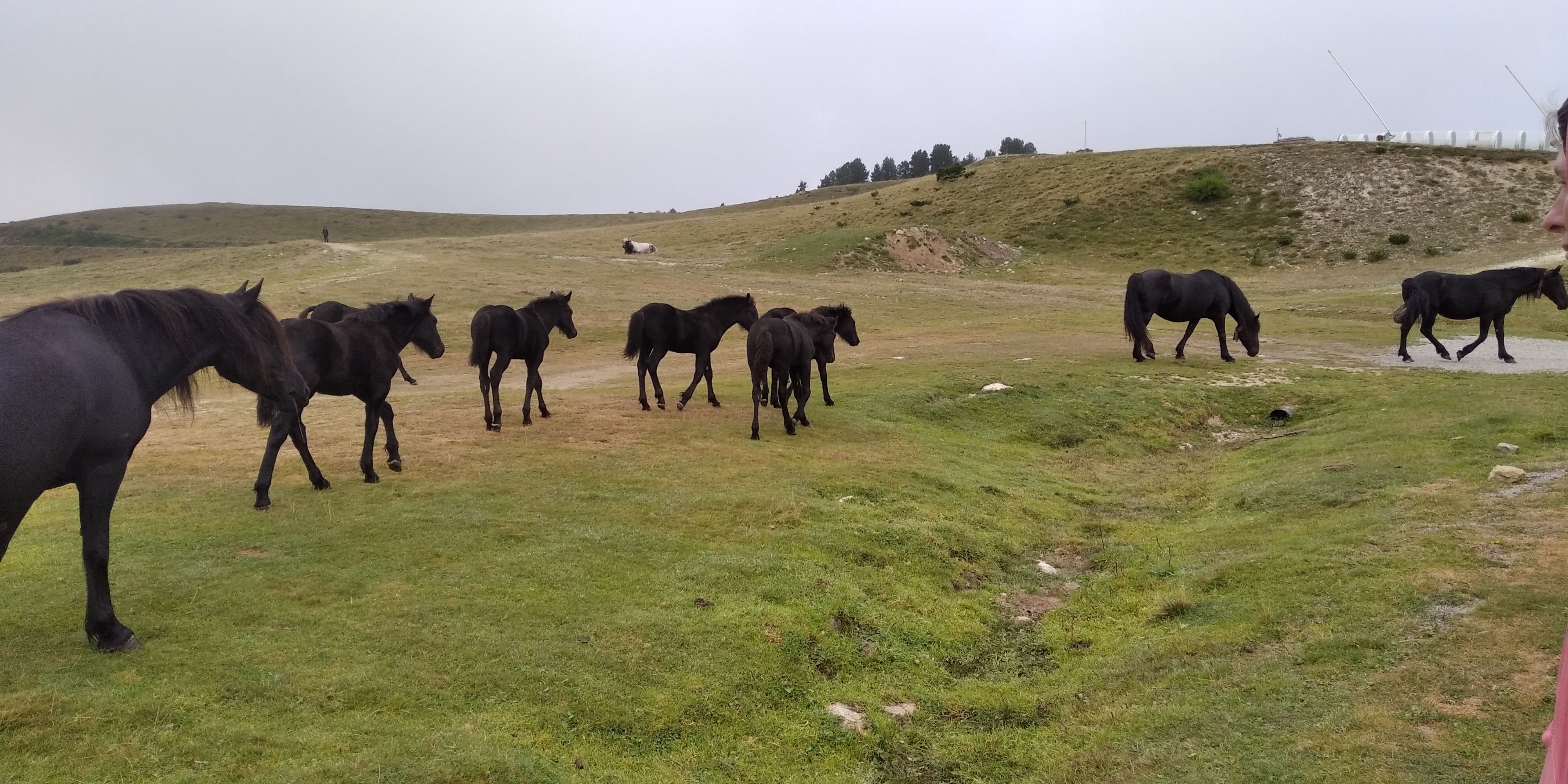 Photo n° 1 de l'avis de Mïo.e fait le 23/08/2021 à 13:54