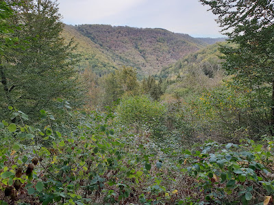 Maison de MIERS à Chalvignac