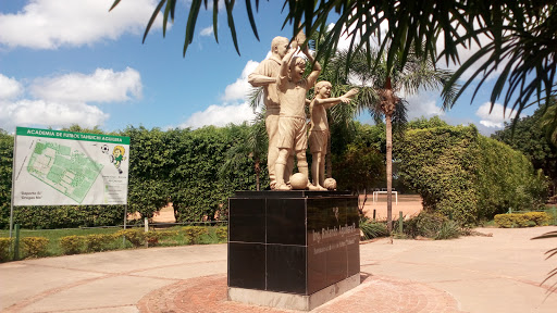 Academias de bomberos en Santa Cruz