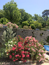 Photo n°4 de Château De Peyrolles à Apt ()