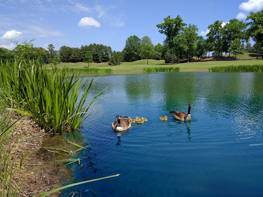 Golf Course «The Golf Club at Ballantyne, Charlotte (Public)», reviews and photos, 10000 Ballantyne Commons Pkwy, Charlotte, NC 28277, USA