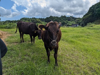 トゥルーバファーム佐賀株式会社 鹿島牧場