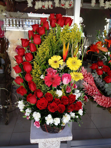 D’talle – Villahermosa