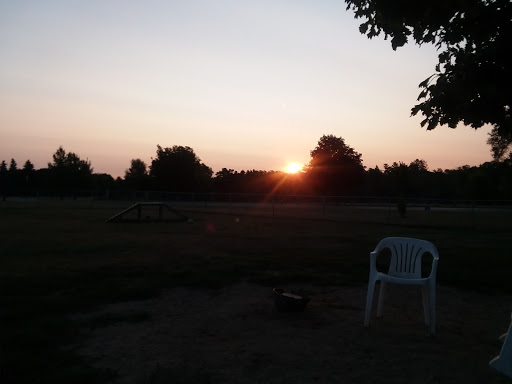 Pet Groomer «Fairview Pet Center», reviews and photos, 1451 S M 52, Owosso, MI 48867, USA