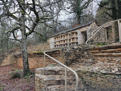 Combe à la Serpent à Dijon