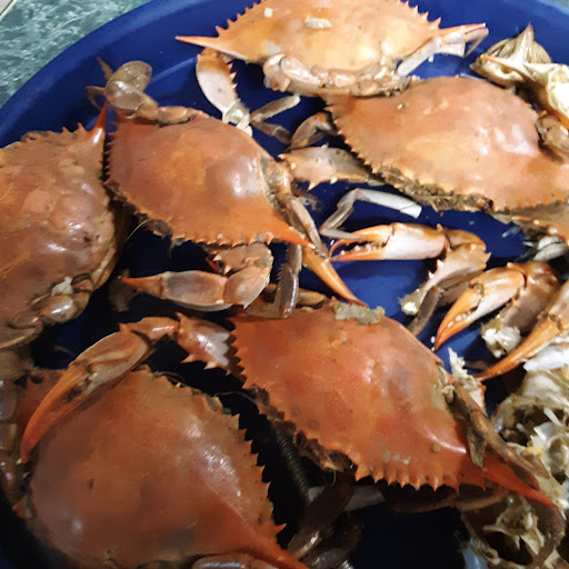 Seafood Market «Seafood Outlet», reviews and photos, 1701 Canal Blvd, Thibodaux, LA 70301, USA