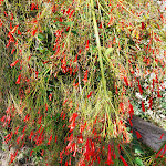 Photo n°4 de l'avis de Marcella.o fait le 25/08/2022 à 15:57 sur le  Hotel Torre Oliva à Santa Marina