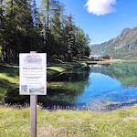 Photo n°1 de l'avis de Cristiano.e fait le 21/06/2020 à 20:56 sur le  Alpe Gorzà à Torgnon