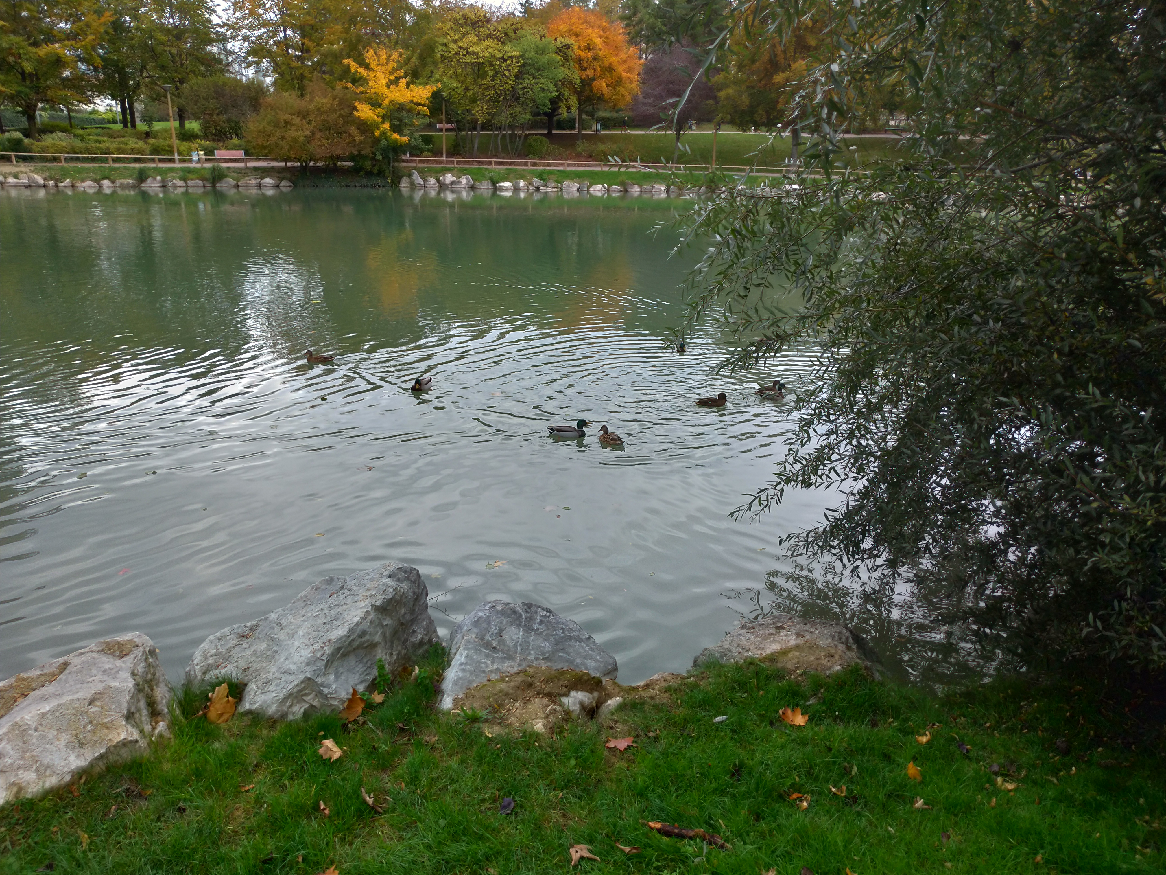 Photo n° 27 de l'avis de Benjamin.e fait le 22/10/2020 à 20:16