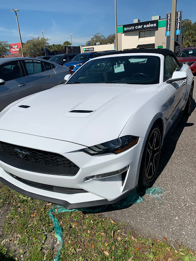 Used Car Dealer «Enterprise Car Sales», reviews and photos, 3909 W Hillsborough Ave, Tampa, FL 33614, USA