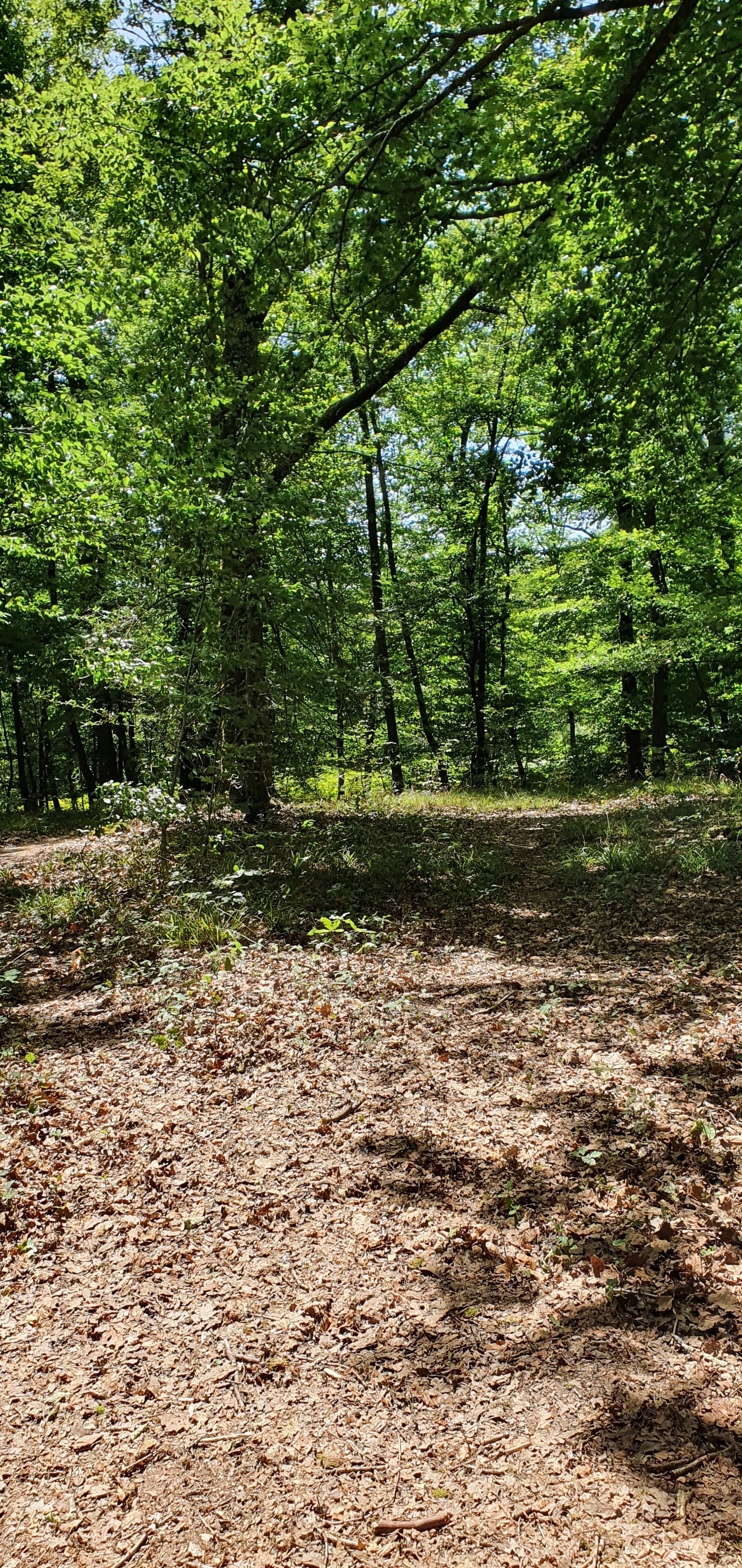 Photo n° 1 de l'avis de jackmimi.e fait le 16/07/2022 à 11:18