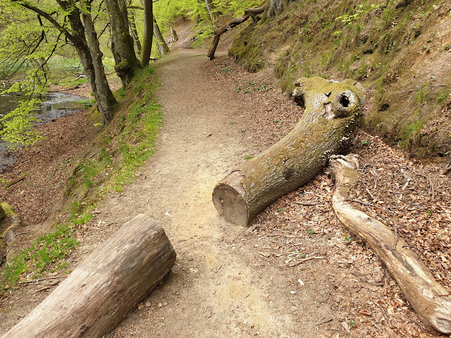 Ravnsbjergvej 74, 8800 Viborg