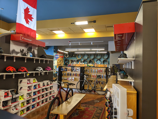 Bicycle Repair Shop «Bike Zone», reviews and photos, 2100 W Ridge Rd, Rochester, NY 14626, USA