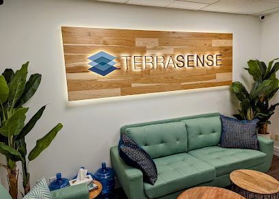 TerraSense Analytics
