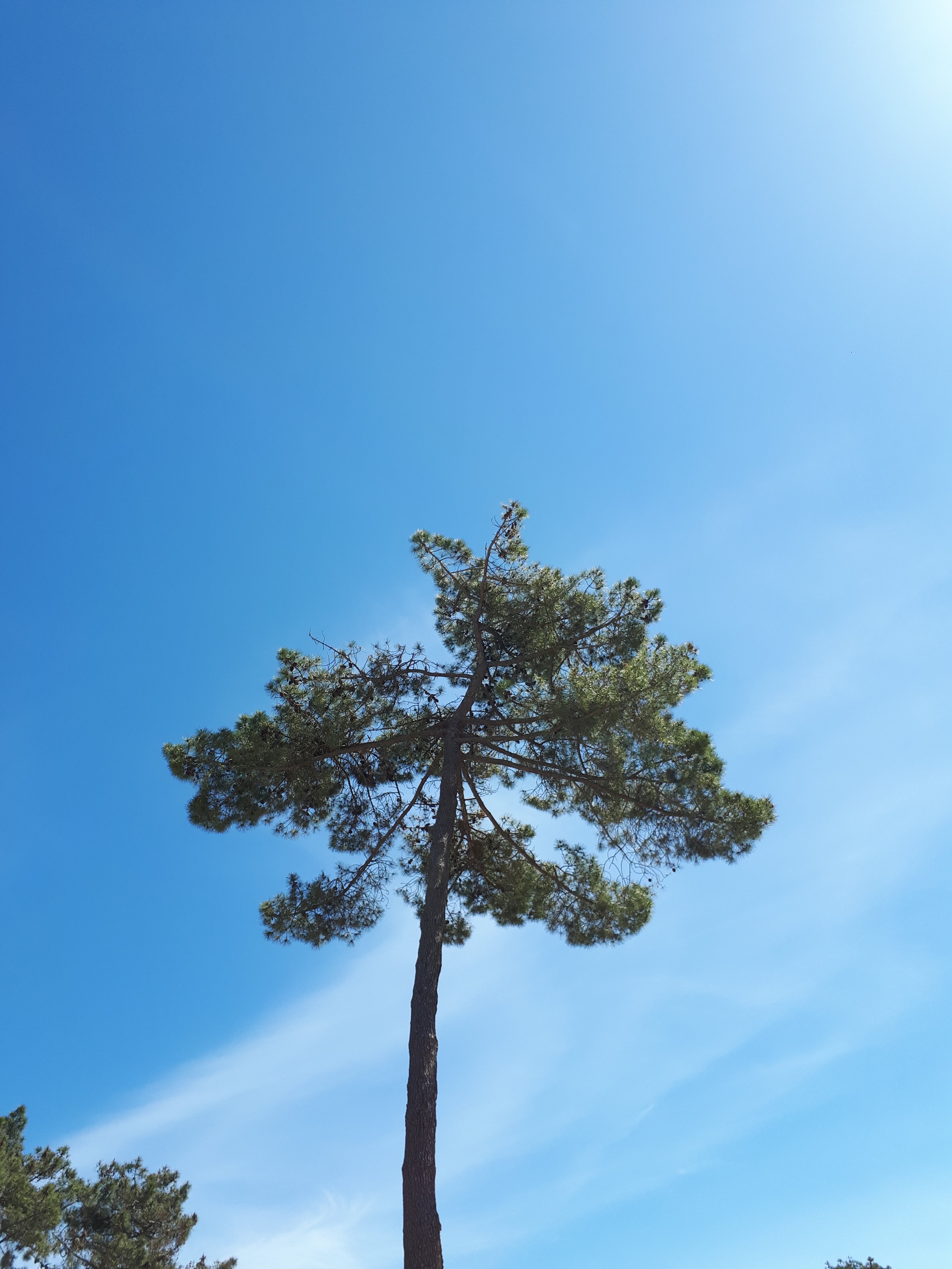 Photo n° 2 de l'avis de Mélanie.a fait le 02/05/2018 à 07:21