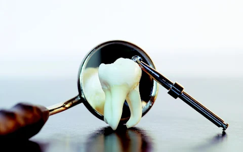 Auckland Family Dental: Drury Dental image