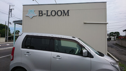 B-LOOM