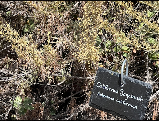 Learning Center «George F Canyon Preserve and Nature Center», reviews and photos, 27305 Palos Verdes Dr E, Rolling Hills Estates, CA 90274, USA