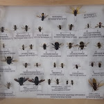 Photo n° 2 de l'avis de Will.. fait le 22/10/2019 à 05:45 pour NATURAPI à Portet-sur-Garonne