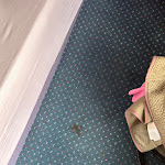 Photo n°3 de l'avis de Der.e fait le 11/05/2024 à 21:51 sur le  Hagedorn Residenz Hotel Detmold à Detmold