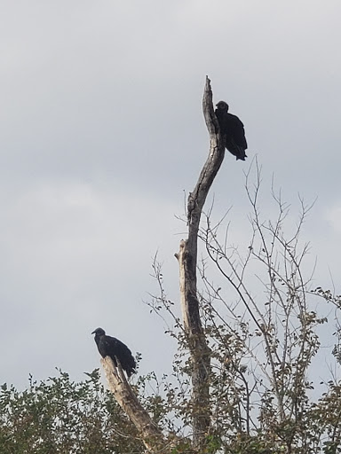 Park «McAllister Park», reviews and photos, 13102 Jones Maltsberger Rd, San Antonio, TX 78247, USA