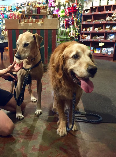 Pet Supply Store «Green Dog Pet Supply», reviews and photos, 4327 NE Fremont St, Portland, OR 97213, USA